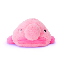 Load image into Gallery viewer, Side-eye Blobfish
