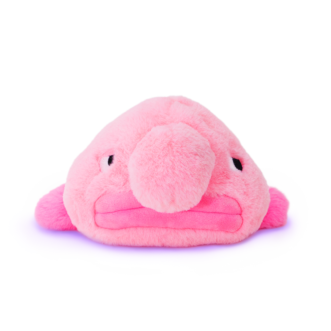 Side-eye Blobfish