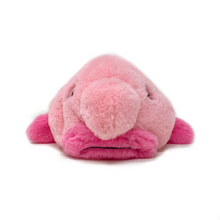 Load image into Gallery viewer, Side-eye Blobfish
